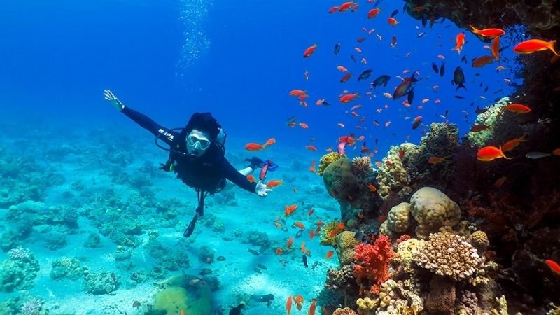 scuba-diving-in-malvan-tarkarli